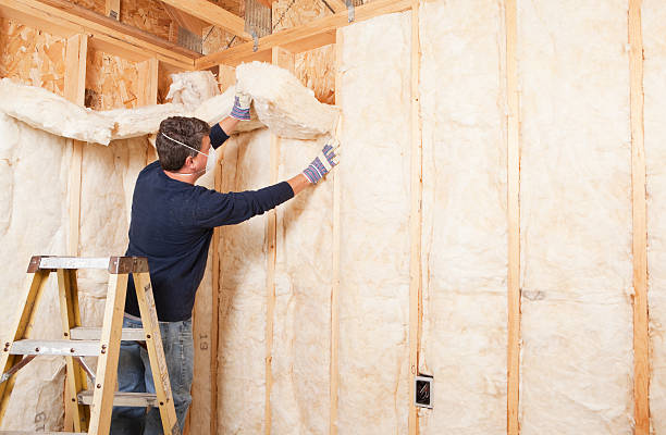 Professional Insulation Services in Brusly, LA